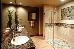 Northbrook IL Bathroom Remodel